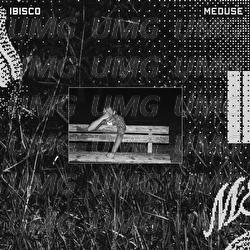 Meduse - Ibisco