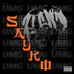 Sayko - Psycho Rhyme