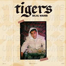 Tigers - Bilal Wahib