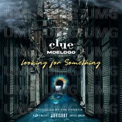 Looking For Something - Clue, Moelogo