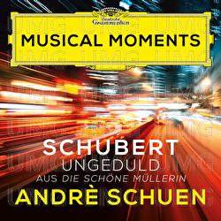 Schubert: Die schöne Müllerin, Op. 25, D. 795: VII. Ungeduld - Andrè Schuen, Daniel Heide