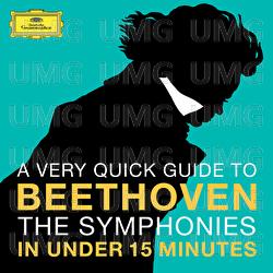 Beethoven: The Symphonies in under 15 minutes - Various Artists
