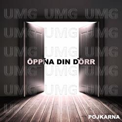 &Ouml;ppna din d&ouml;rr - Pojkarna
