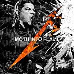 Moth Into Flame