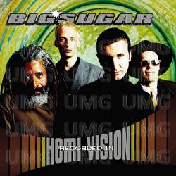 Diggin' A Hole - Big Sugar