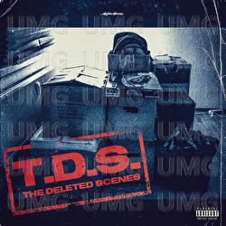 T.D.S. - LAAS