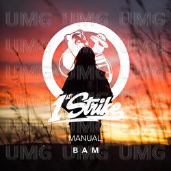 BAM - MANUAL.