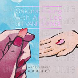 Sakura Rising - Wagakki Band, Amy Lee