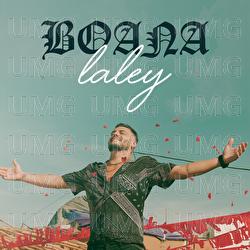 Laley - Boana