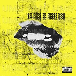 So Nice To Meet You - KOKO