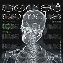 She Hui Dong Wu - Matzka