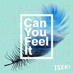 Can You Feel It - Iseki