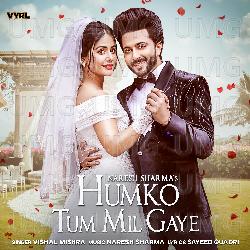Humko Tum Mil Gaye - Naresh Sharma, Vishal Mishra