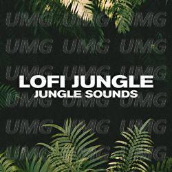 jungle sounds - LOFI JUNGLE