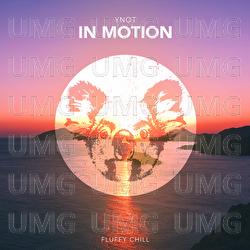 In Motion - YNOT