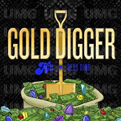 Gold Digger - Kidd Kenn, Dess Dior