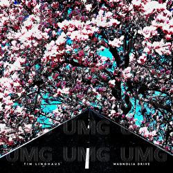 Magnolia Drive - Tim Linghaus