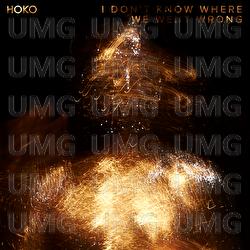 I Don't Know Where We Went Wrong - HOKO