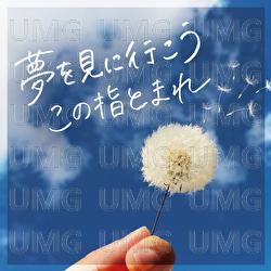 Yumeo Mini Iko Konoyubi Tomare - HY