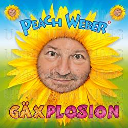 Thuya - Peach Weber