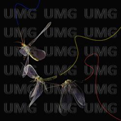 Give Back What U Stole From Me - Oscar Jerome