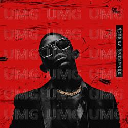 Vitres teint&eacute;es - Tenor