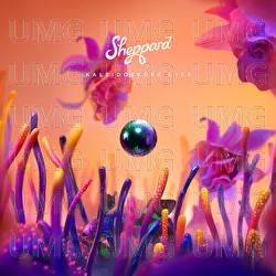 Kaleidoscope Eyes - Sheppard