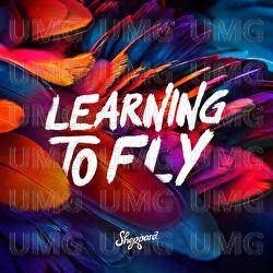 Learning To Fly - Sheppard