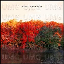 While We Wait - David Wenngren