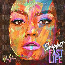 Fast Life - Malsha