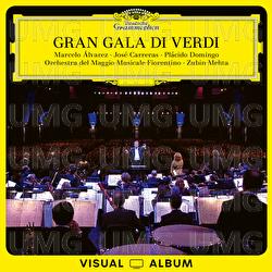 Gran Gala di Verdi