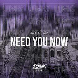 Need You Now - Jako Diaz