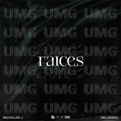 Ra&iacute;ces - Recycled J, Delaossa