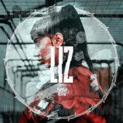 Intro (Bleibe Echt) - LIZ