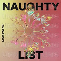 Naughty List - Liam Payne
