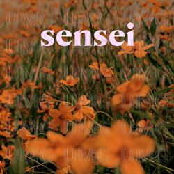 Sensei - Caloncho