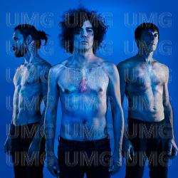 L'Ultima Casa Accogliente - The Zen Circus
