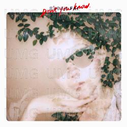 Don't You Know - Sasan Fai
