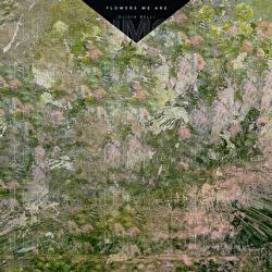 Flowers We Are - Olivia Belli