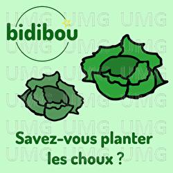 Savez-vous planter les choux ? - Bidibou