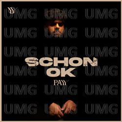 Schon ok - Payy