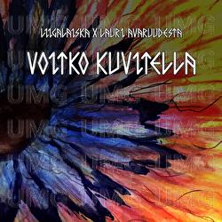 Voitko kuvitella - Liigalaiska, Lauri Avaruudesta