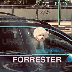 SW&Ouml;RVAA! - FORRESTER, Asa