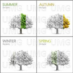 Seasons