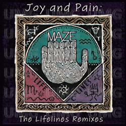 Joy And Pain: The Lifelines Remixes