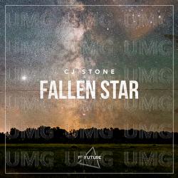 Fallen Star - CJ Stone