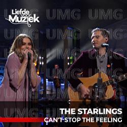 Can't Stop The Feeling - The Starlings