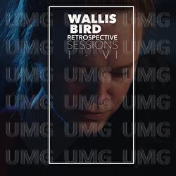 Retrospective Sessions - Wallis Bird