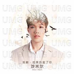 Bao Qian , Ru Guo Shang Hai Liao Ni - Meer Nash