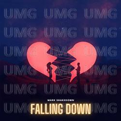 Falling Down - Mark Shakedown